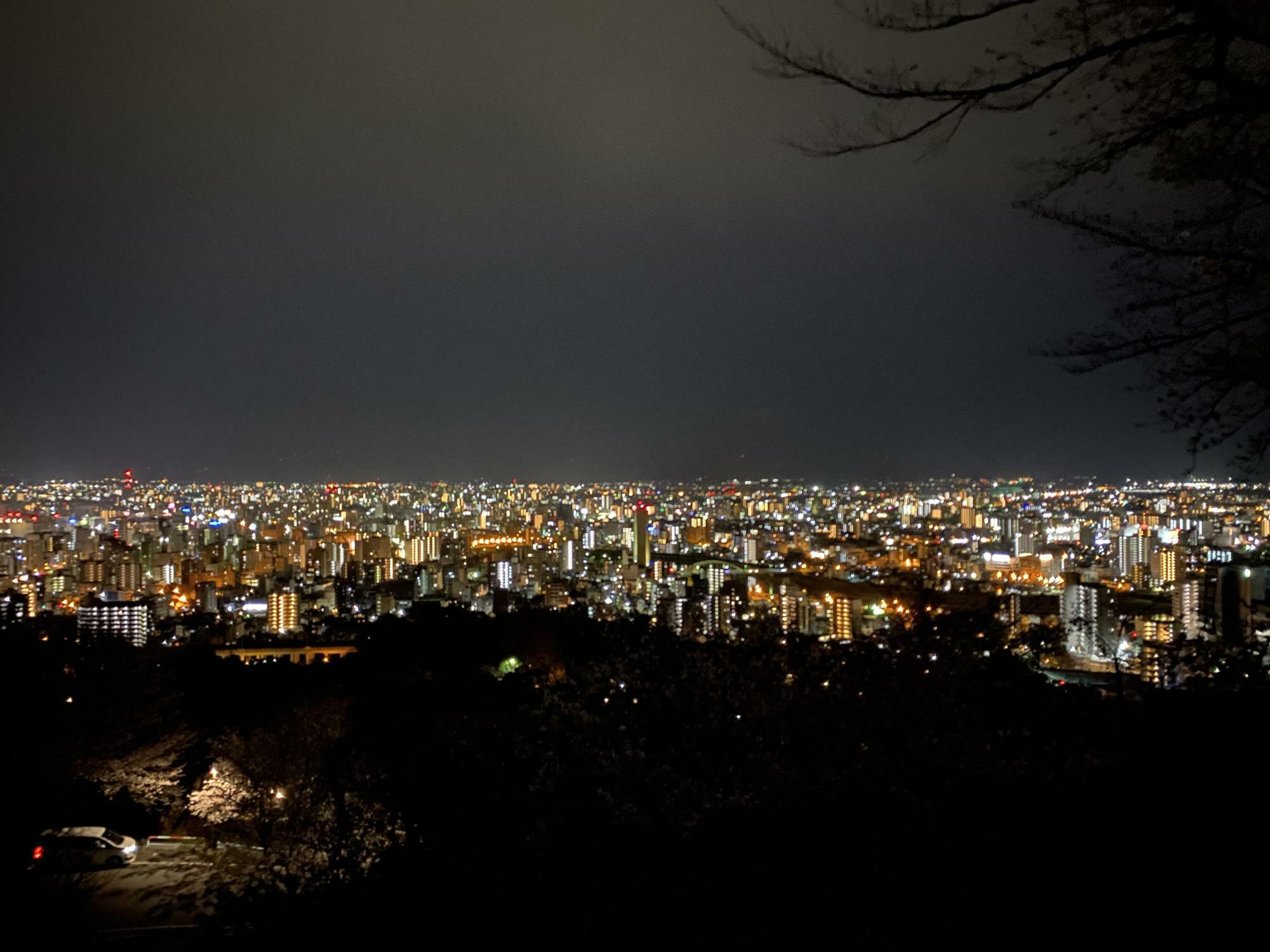 花岡山から見た夜景