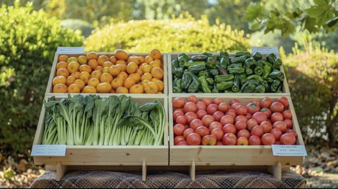 【熊本市】14日開催！規格外野菜を格安で購入できるイベント 野菜