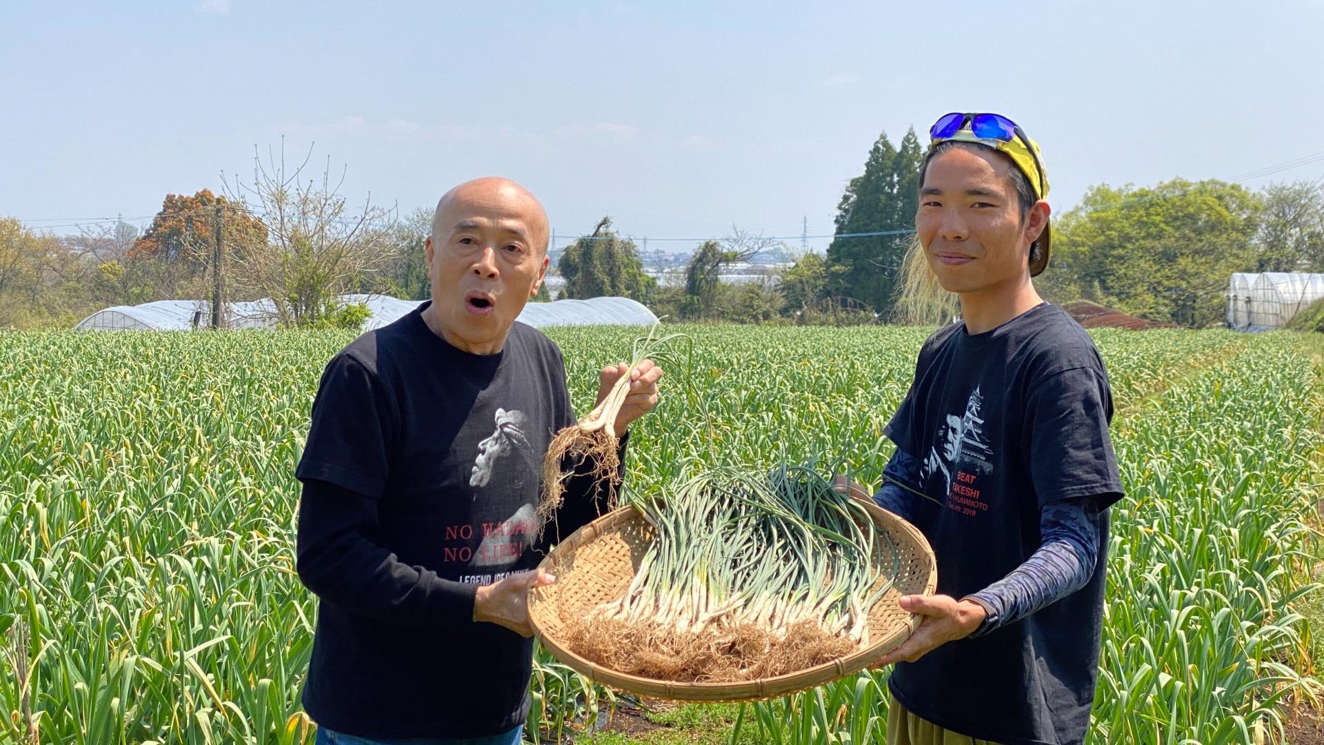 【希少・新鮮！】熊本県産 2年ものらっきょう 10kg 農薬を使わず栽培しました 農薬化学肥料不使用】熊本県南阿蘇村で育てた“らっきょう”約5kg