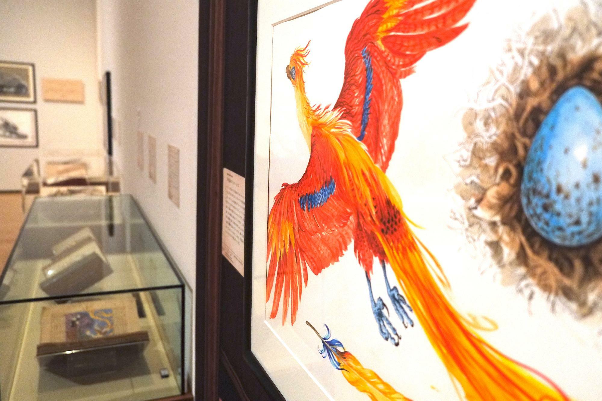 今回の特別展のイメージとしても使われている不死鳥。ダンブルドアとハリーに深く関わりのある存在　所蔵：ブルームズベリー社  撮影協力：兵庫県立美術館
