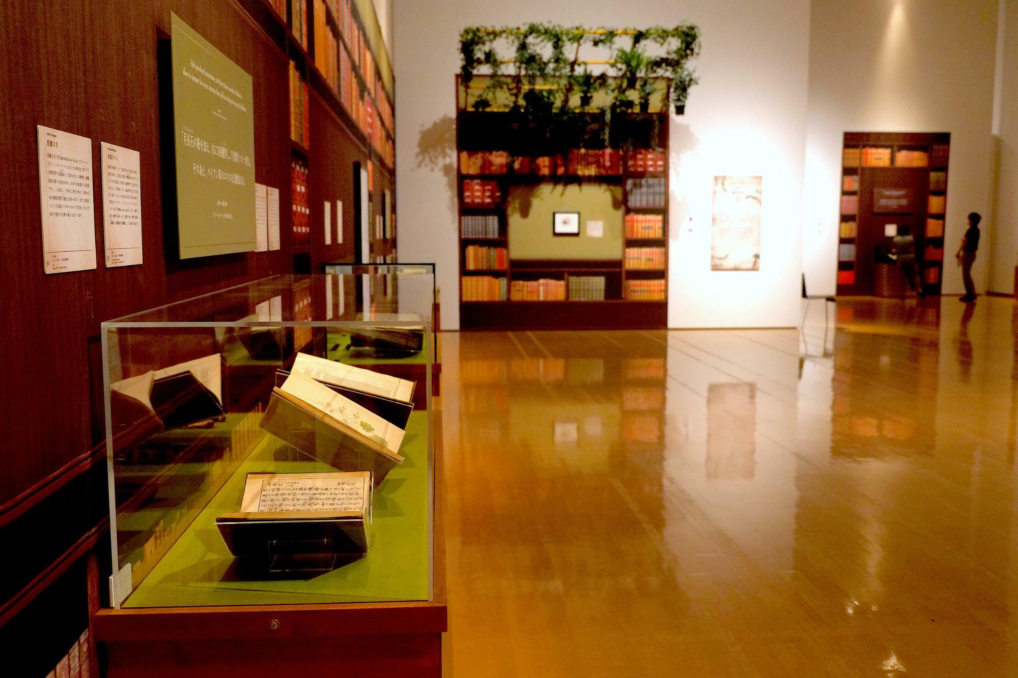 会場は、大きな図書館のような展示スペースになっている　撮影協力：兵庫県立美術館