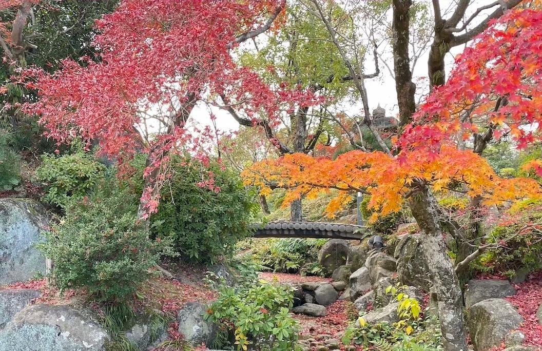 冬散歩、散りゆく紅葉もまた良し。水面を彩る真紅にアートを感じ 冬散歩、散りゆく紅葉もまた良し。水面を彩る真紅にアートを感じ