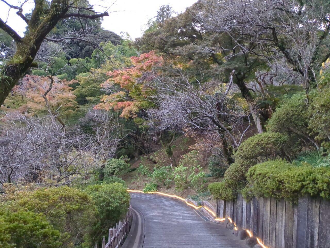 2023年の紅葉まつり