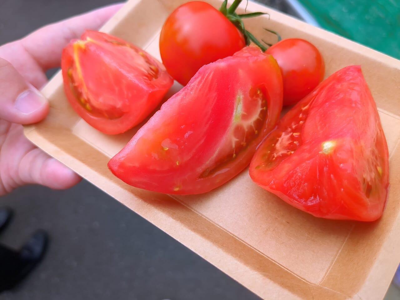 人気のトマトの食べ比べセット