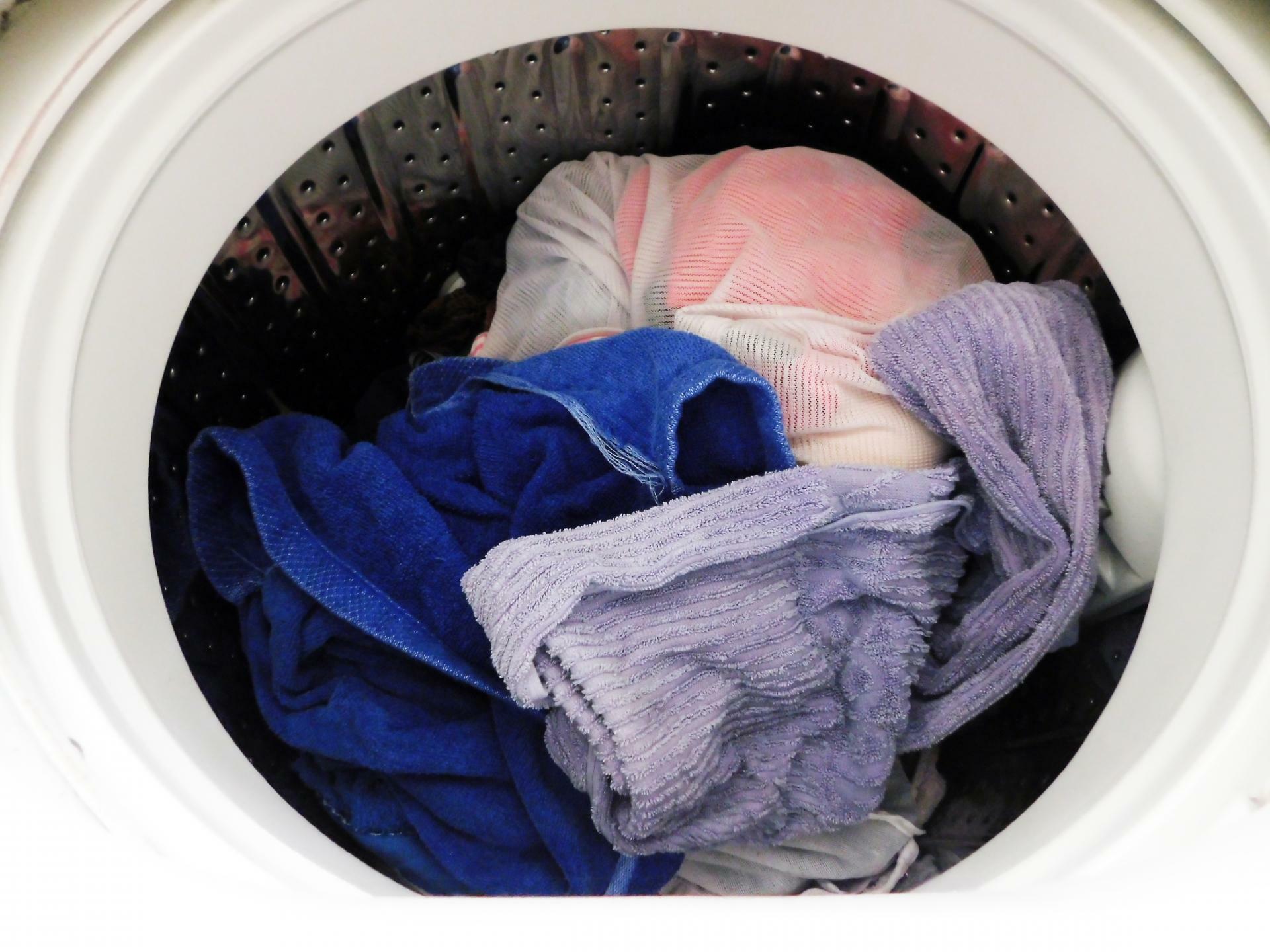 干し忘れた洗濯物は雑菌繁殖の温床になっているかも‥