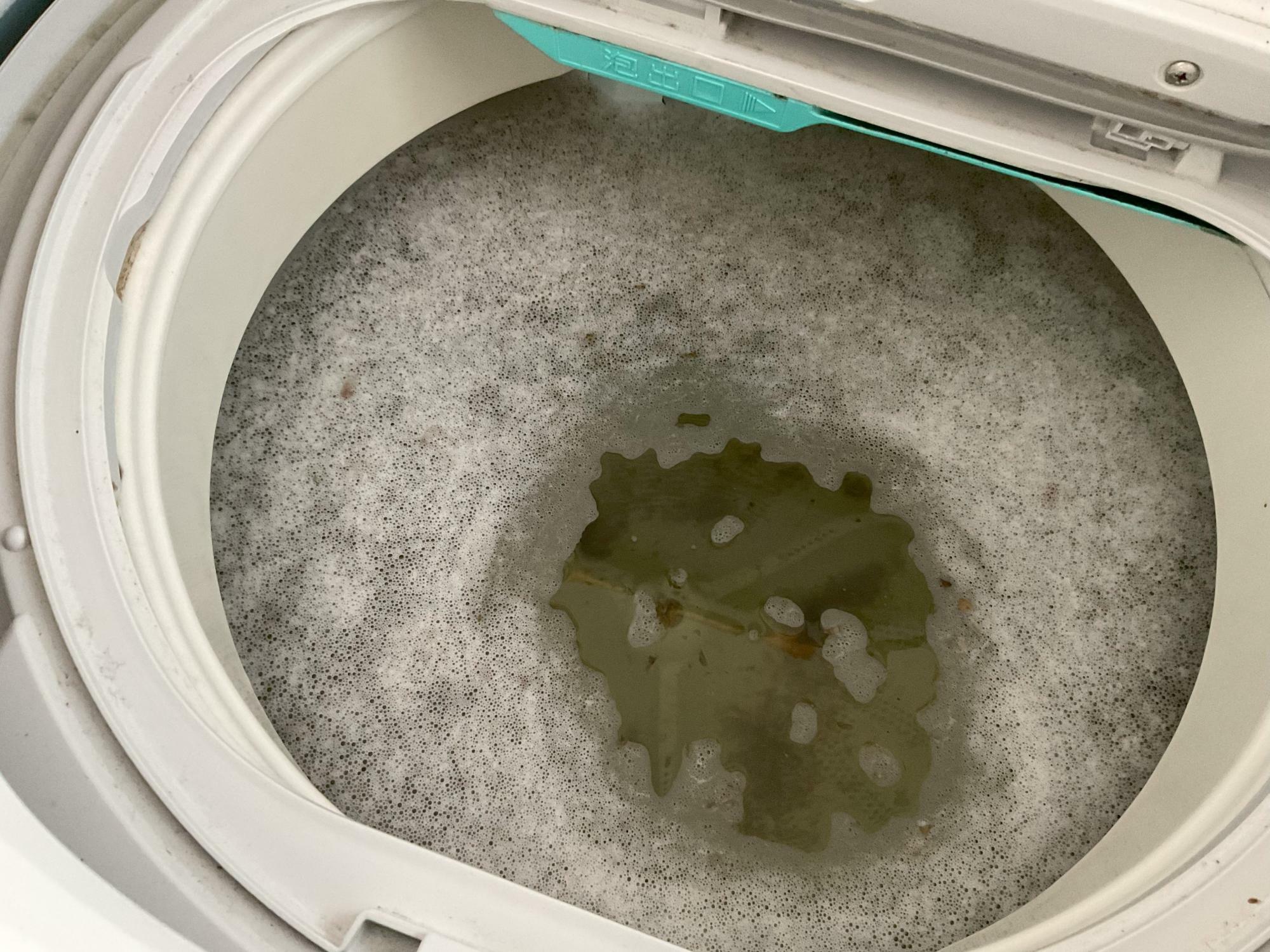 7ヶ月洗濯槽洗浄をサボった洗濯機。大量の黒カビが！