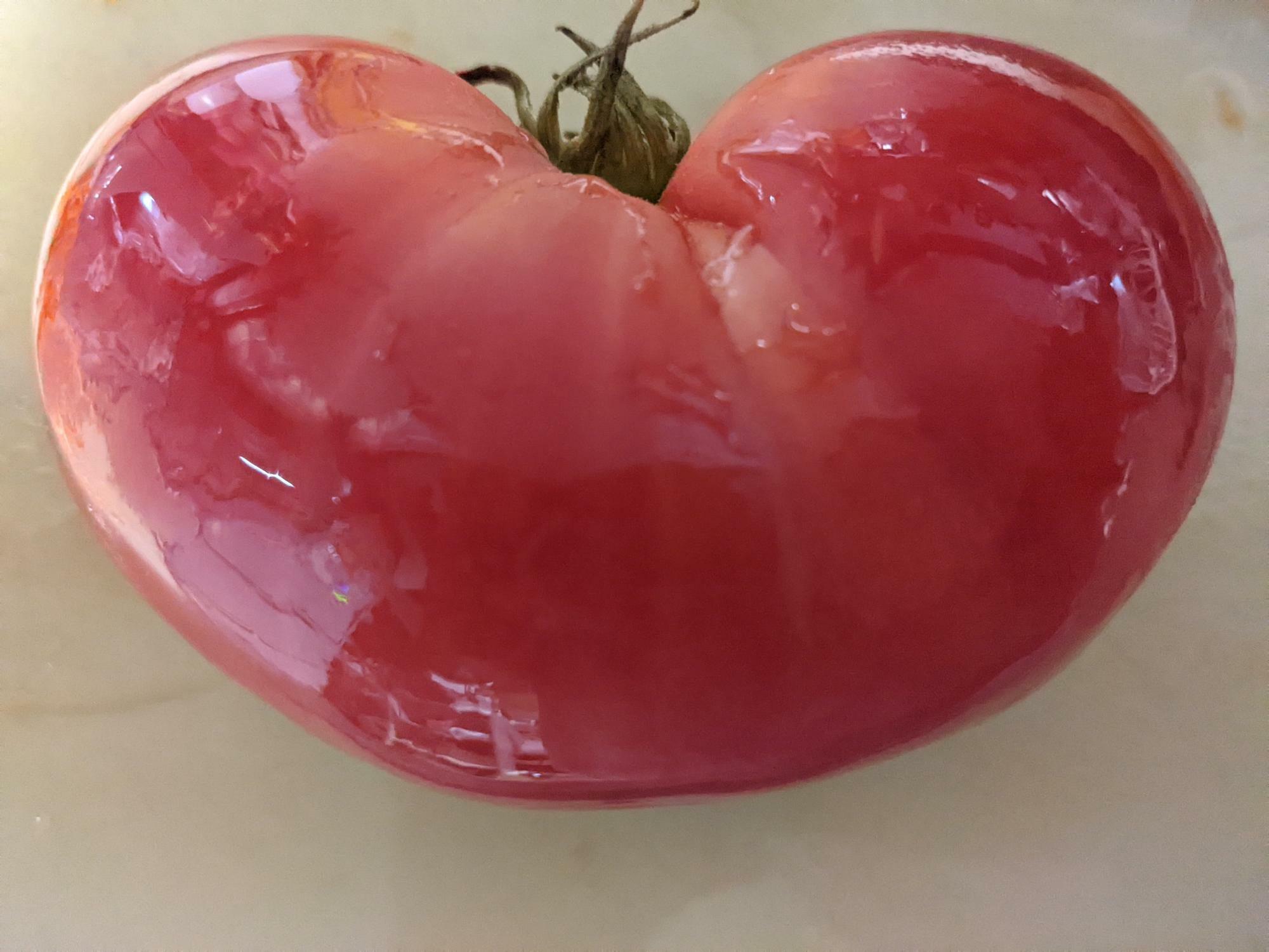 佐賀県産の美味しいトマト
