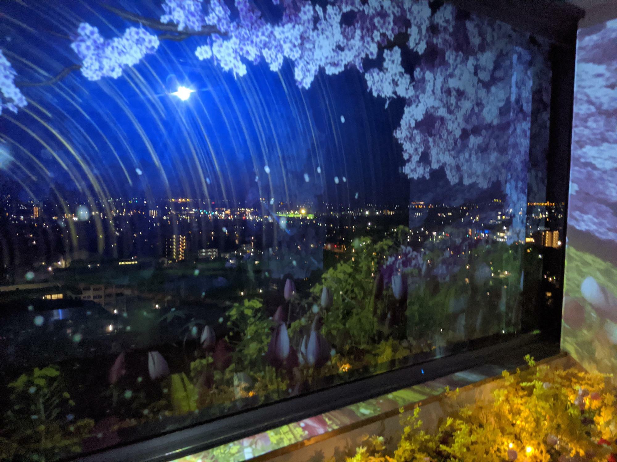 2020年度の夜アート県庁「星空の庭園」の県庁最上階から見るプロジェクションマッピング