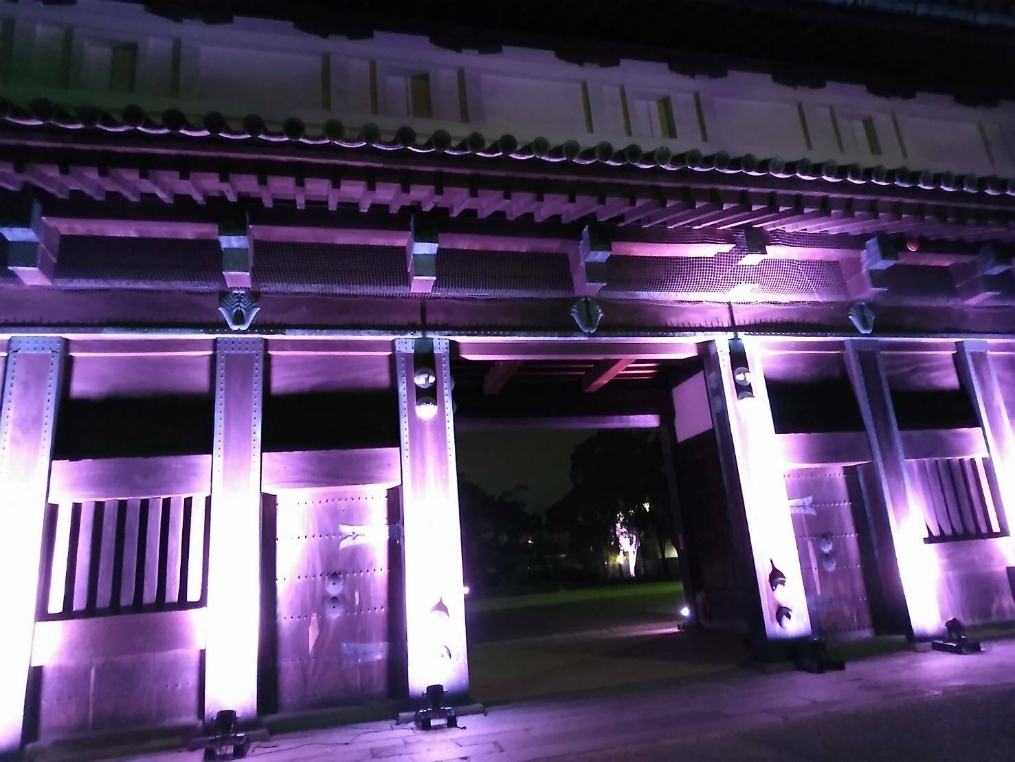 ライトアップされた佐賀城の門