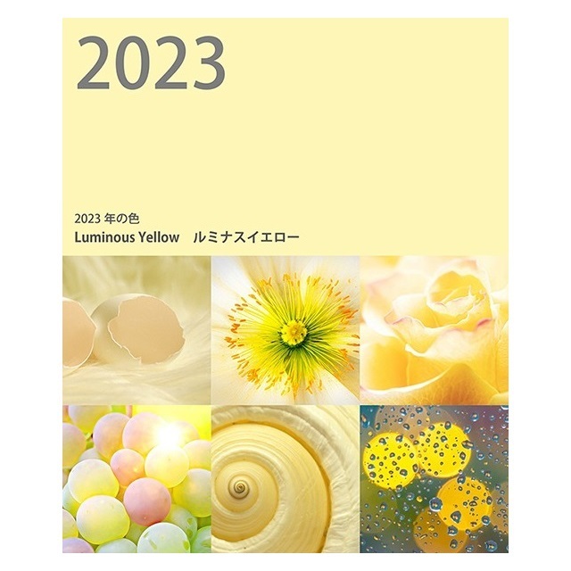 出展先:一社・日本流行色協会(JAFCA)