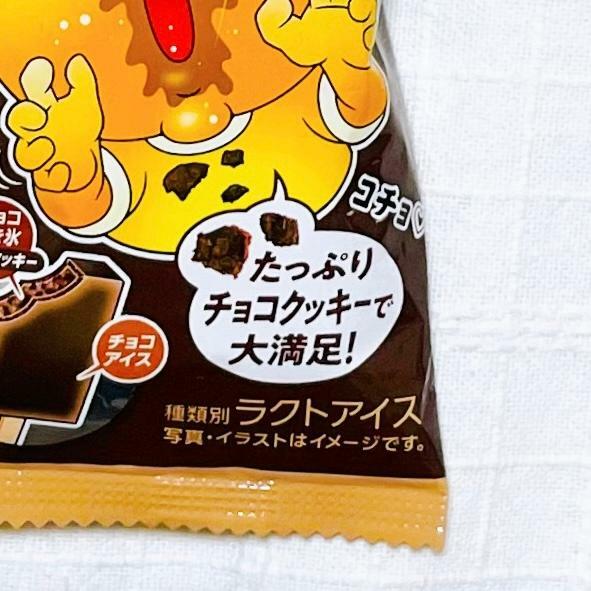 【全国】ガリガリ君リッチ　チョコチョコチョコクッキー