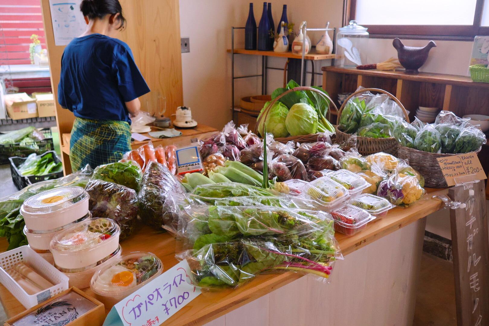 木の里農園さんの新鮮野菜