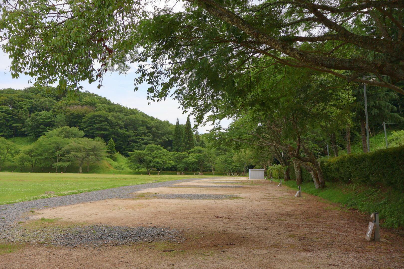 桜の木が気持ちの良い木陰を作ってくれます