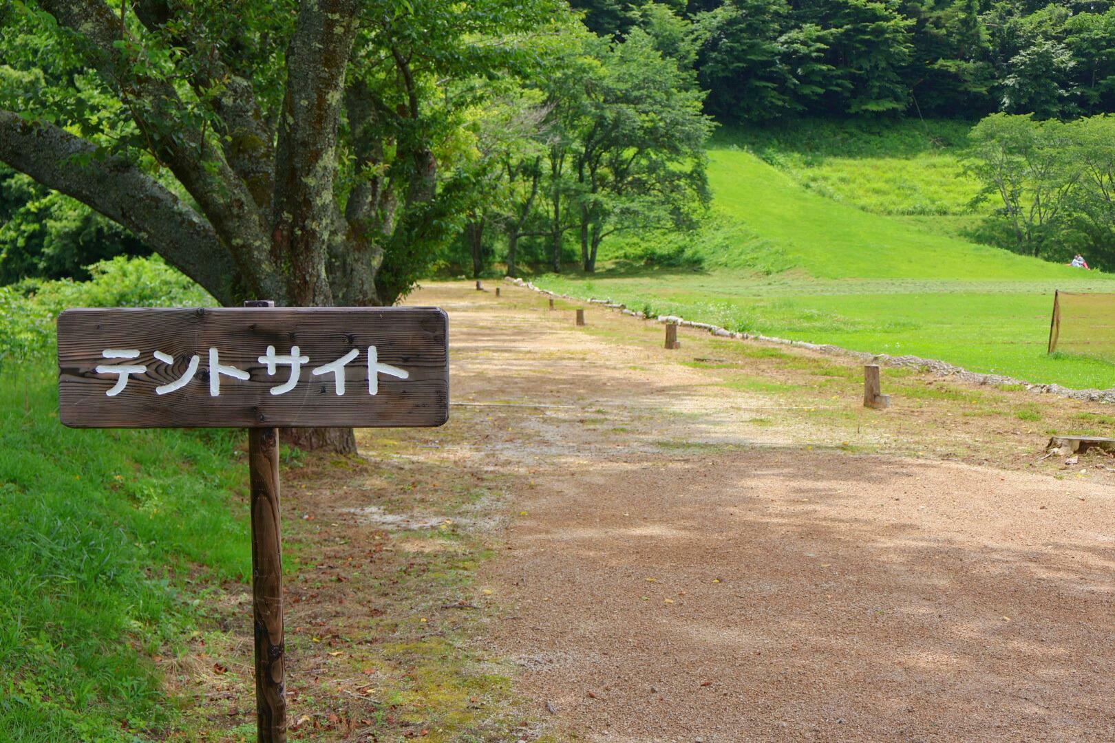 小ぶりなサイトですが砂で整地されています