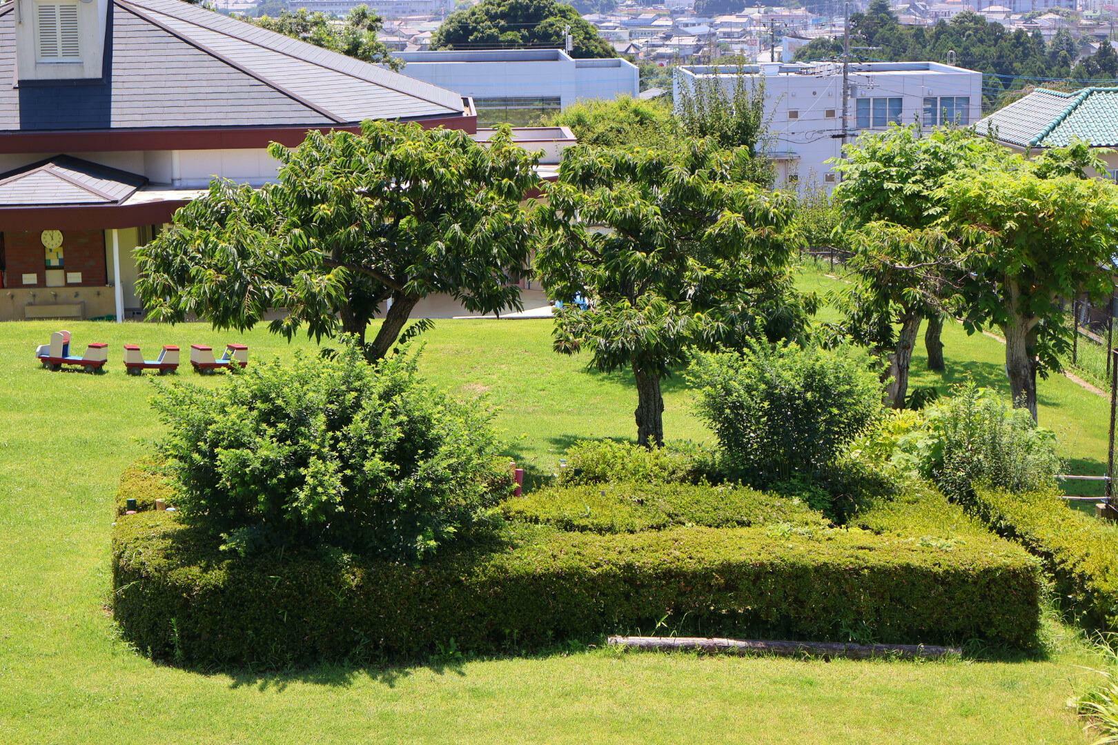 迷路もあります