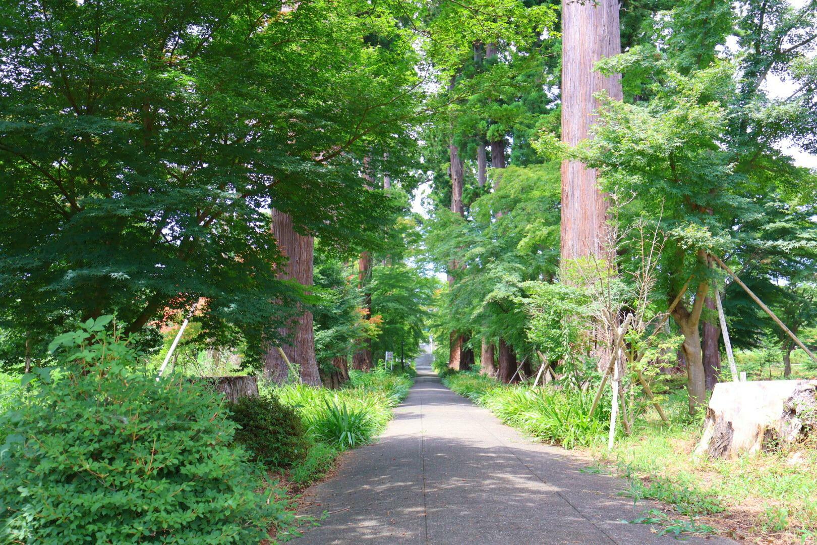 高萩八幡宮　参道の様子