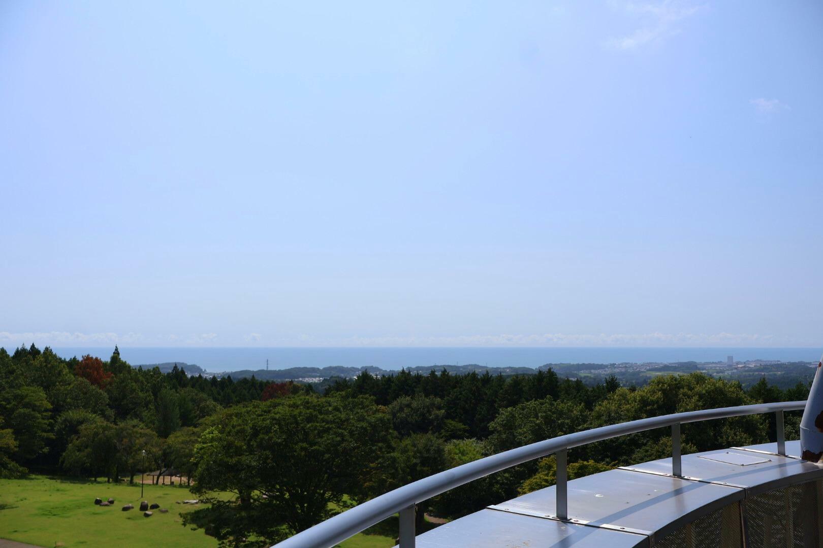 展望台から見える景色は絶景