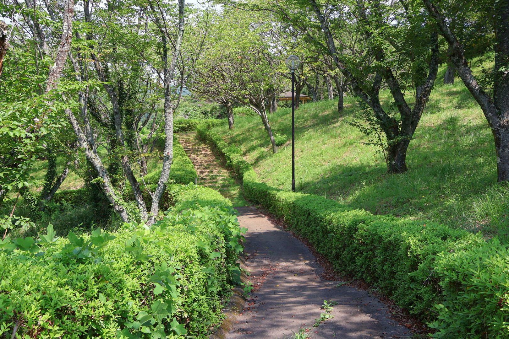 公園から十王ダムまで散策できる遊歩道