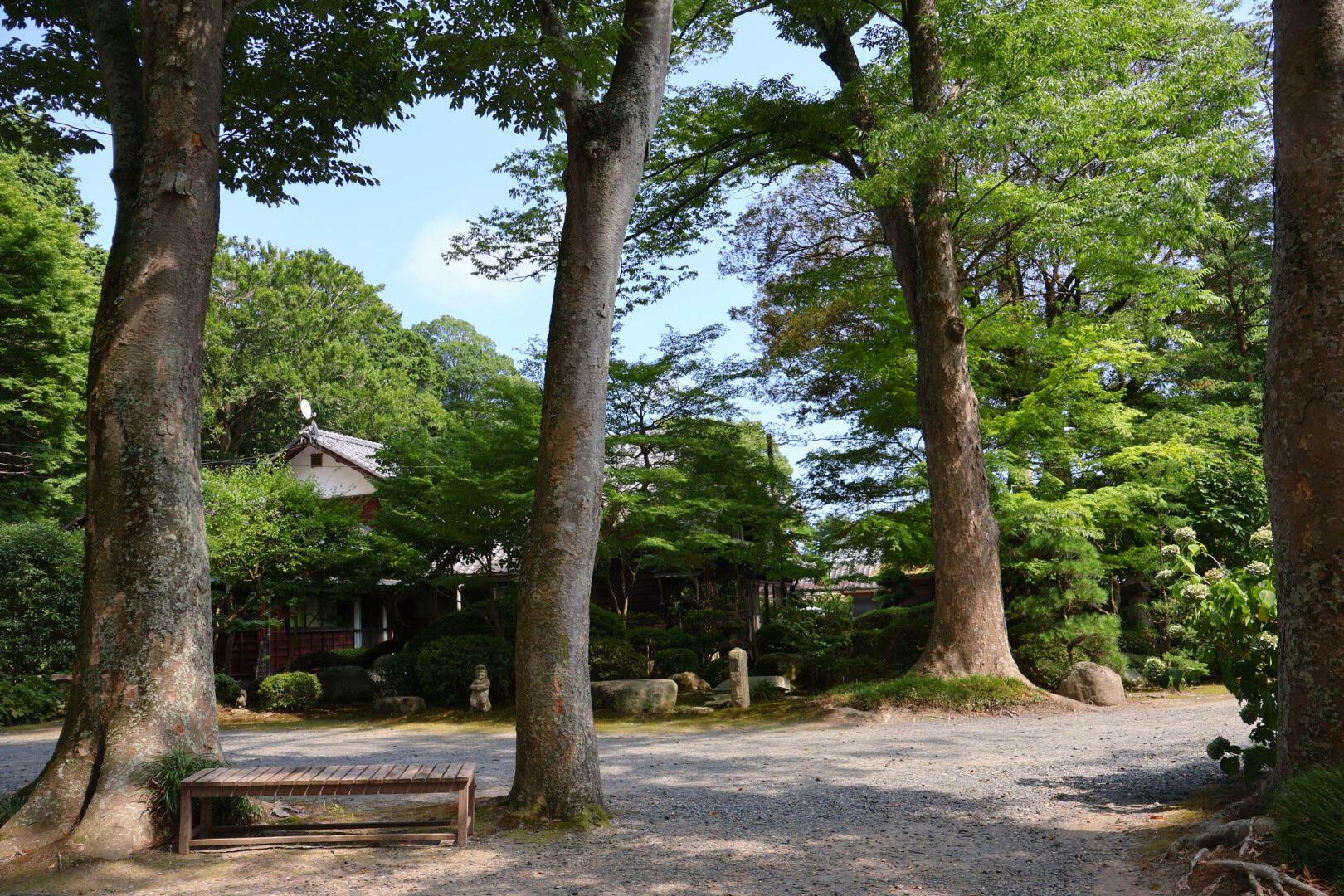 立派な屋敷林が並んでいます