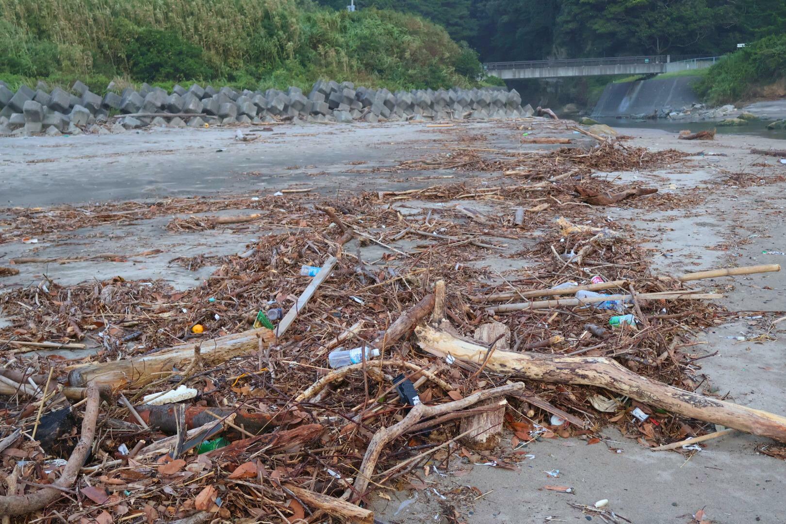 台風の後に大量の流木と共に流れ着いたゴミ