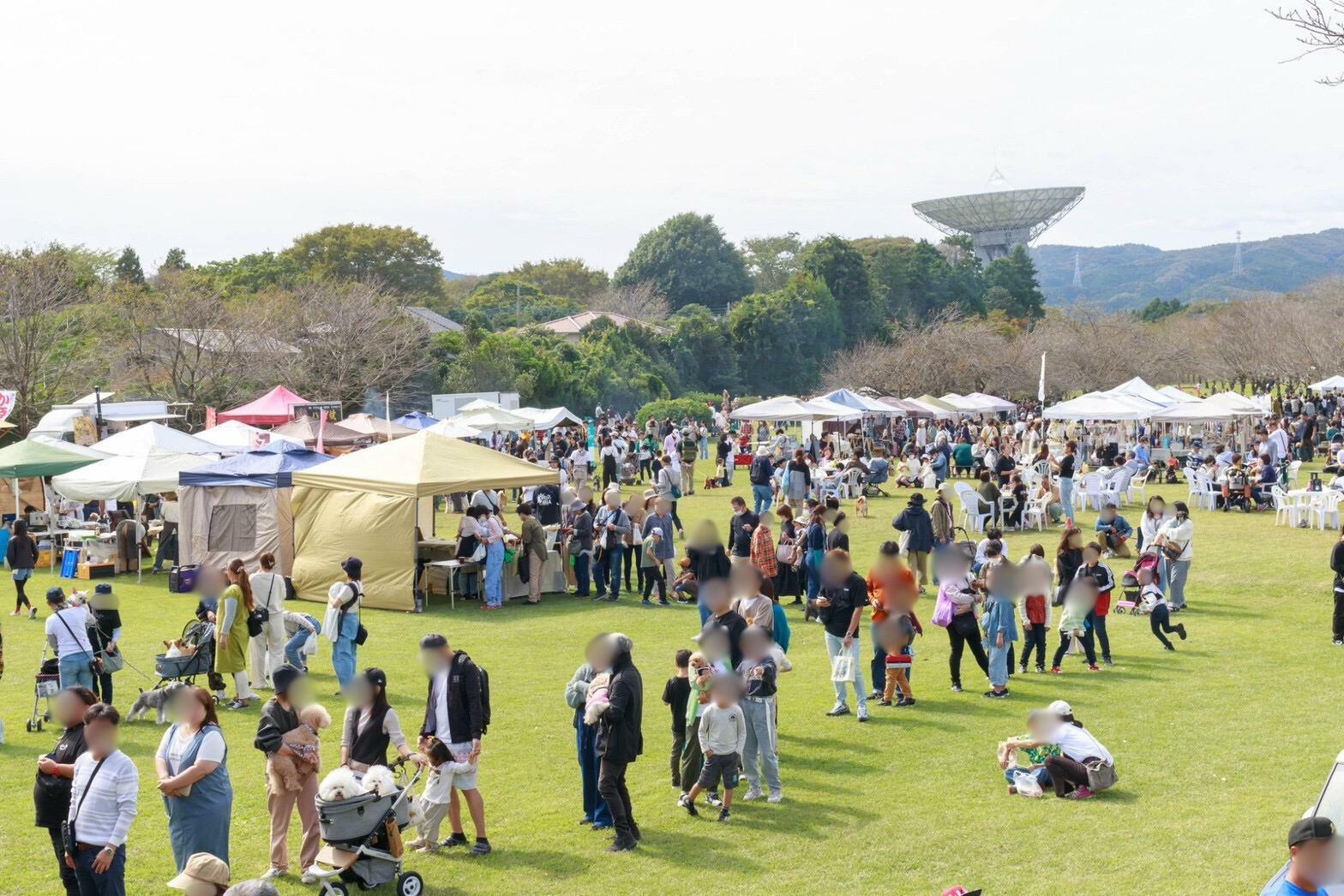 大盛況のDOG＆FOOD FESTIVAL2023（画像提供：（株）PROUD,撮影：横倉さん）