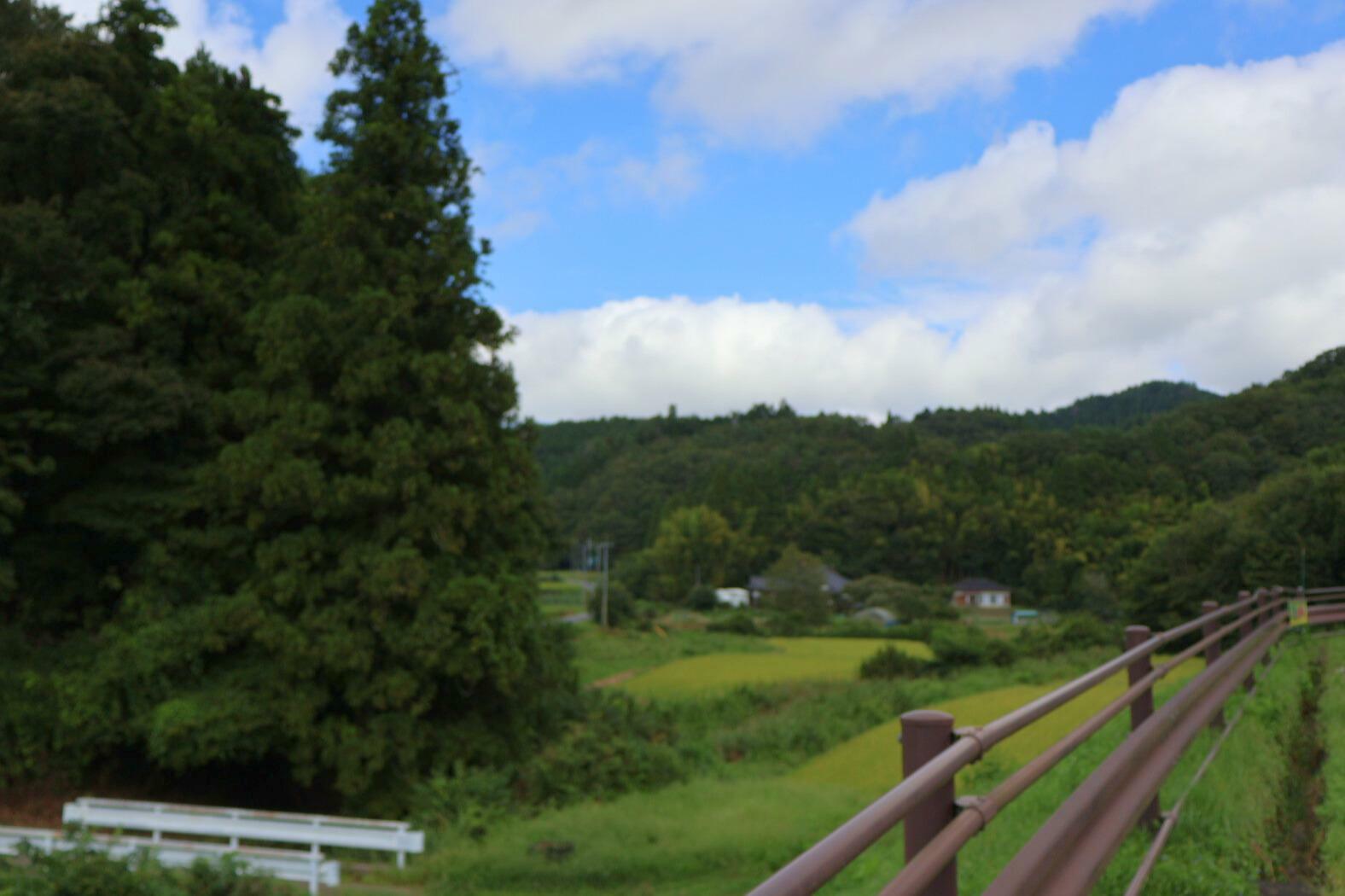 のどかな大能地区