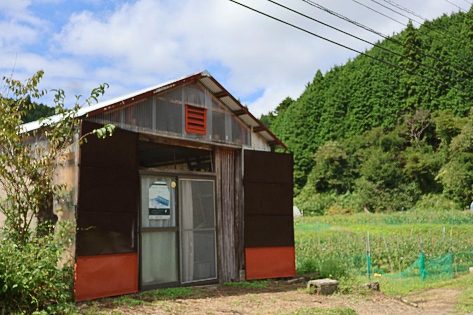 建物の後ろにはほおずき畑があります