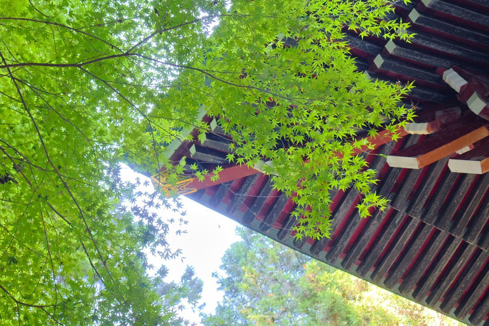 御岩神社楼門の下で