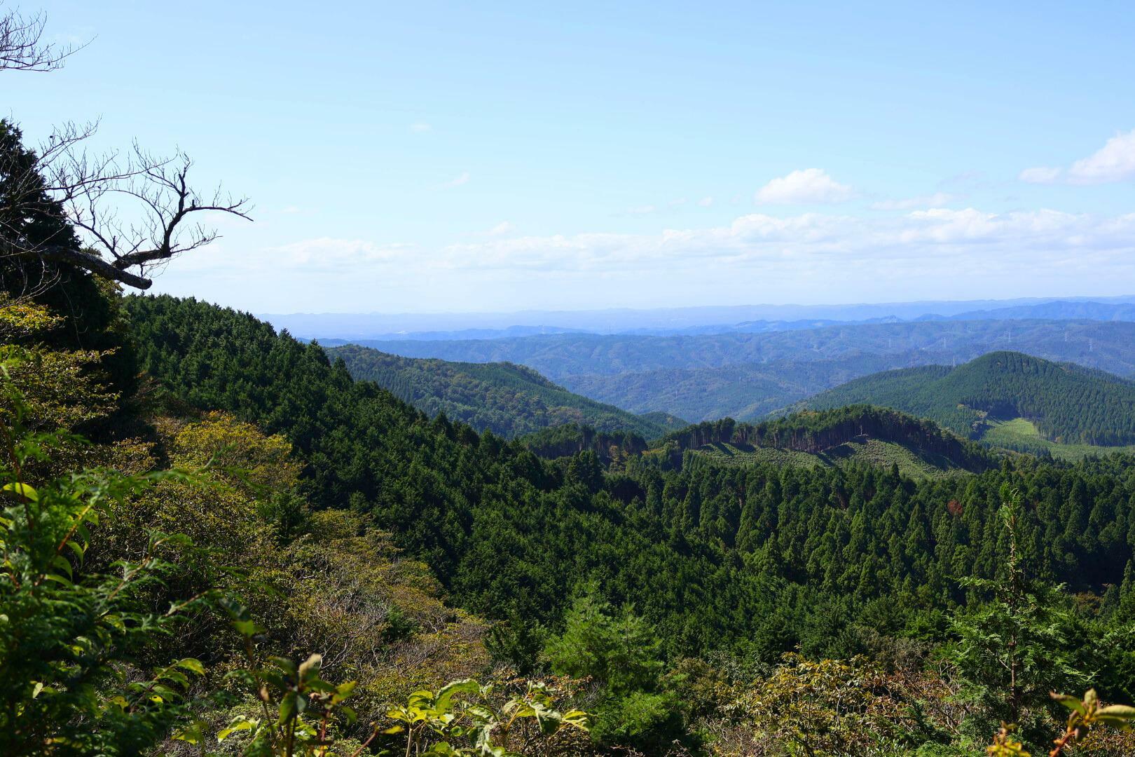 山頂からの景色です