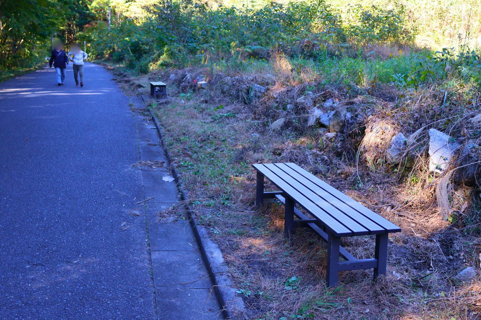 途中休憩できるベンチもあります