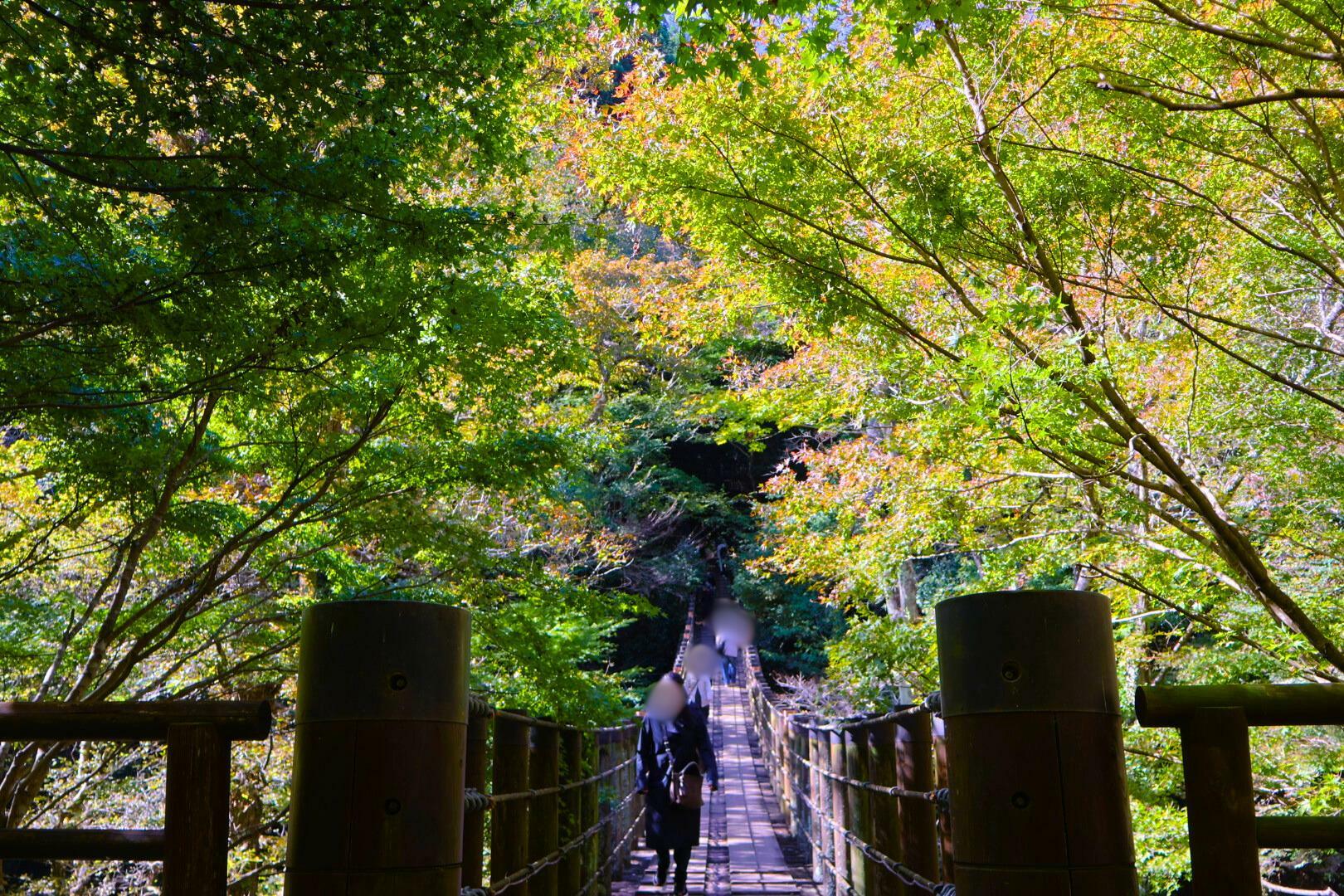 少し色づき始めた汐見滝吊り橋