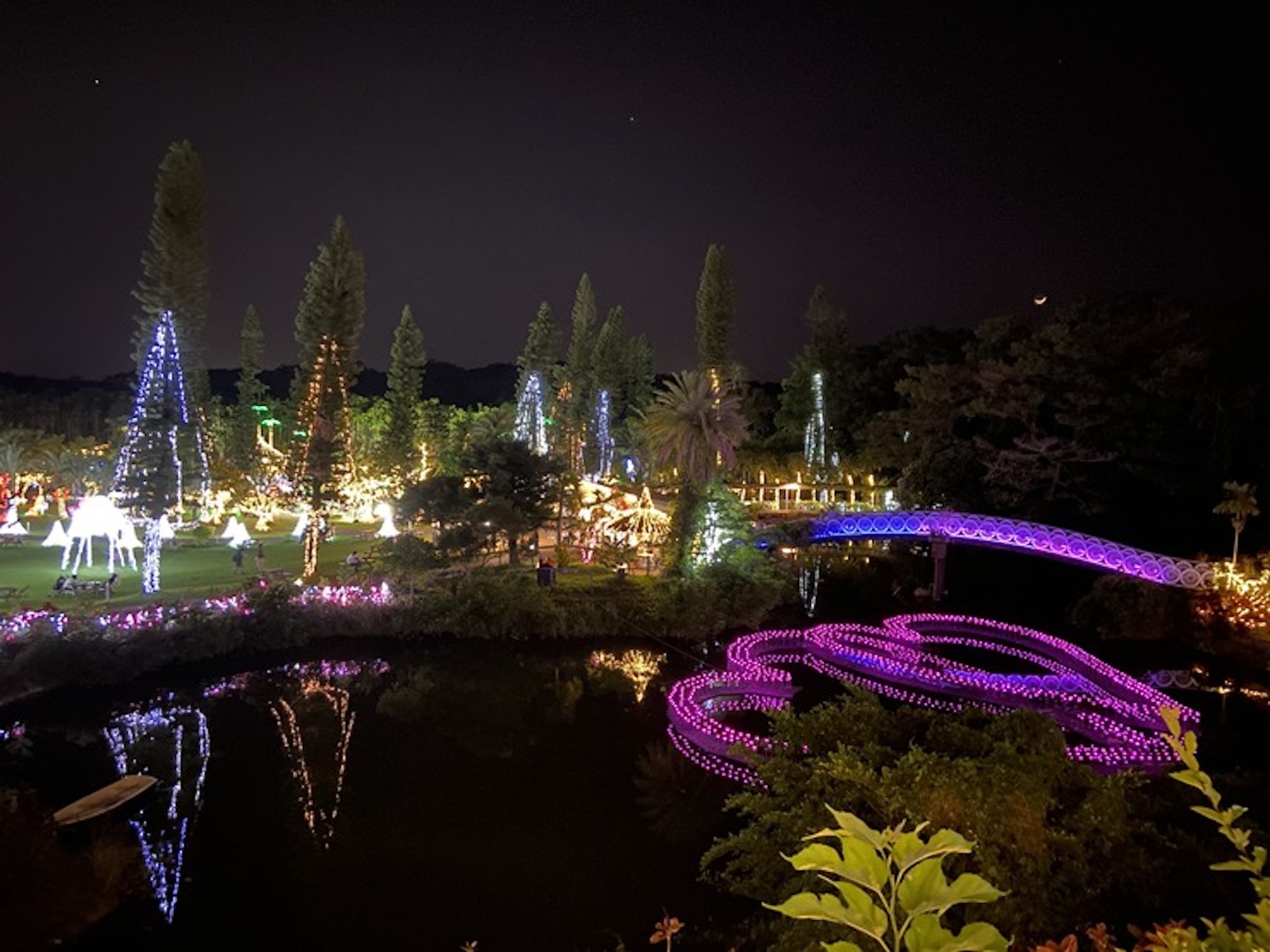 東南植物楽園のイルミネーション（2022年5月撮影）