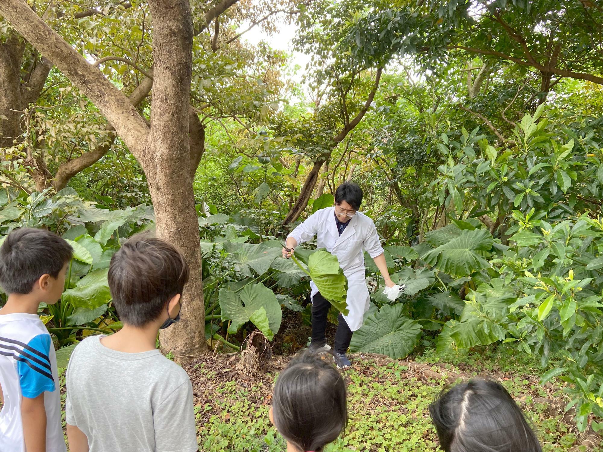 山奥…ではなく琉大敷地内から植物採取をする梅田先生。