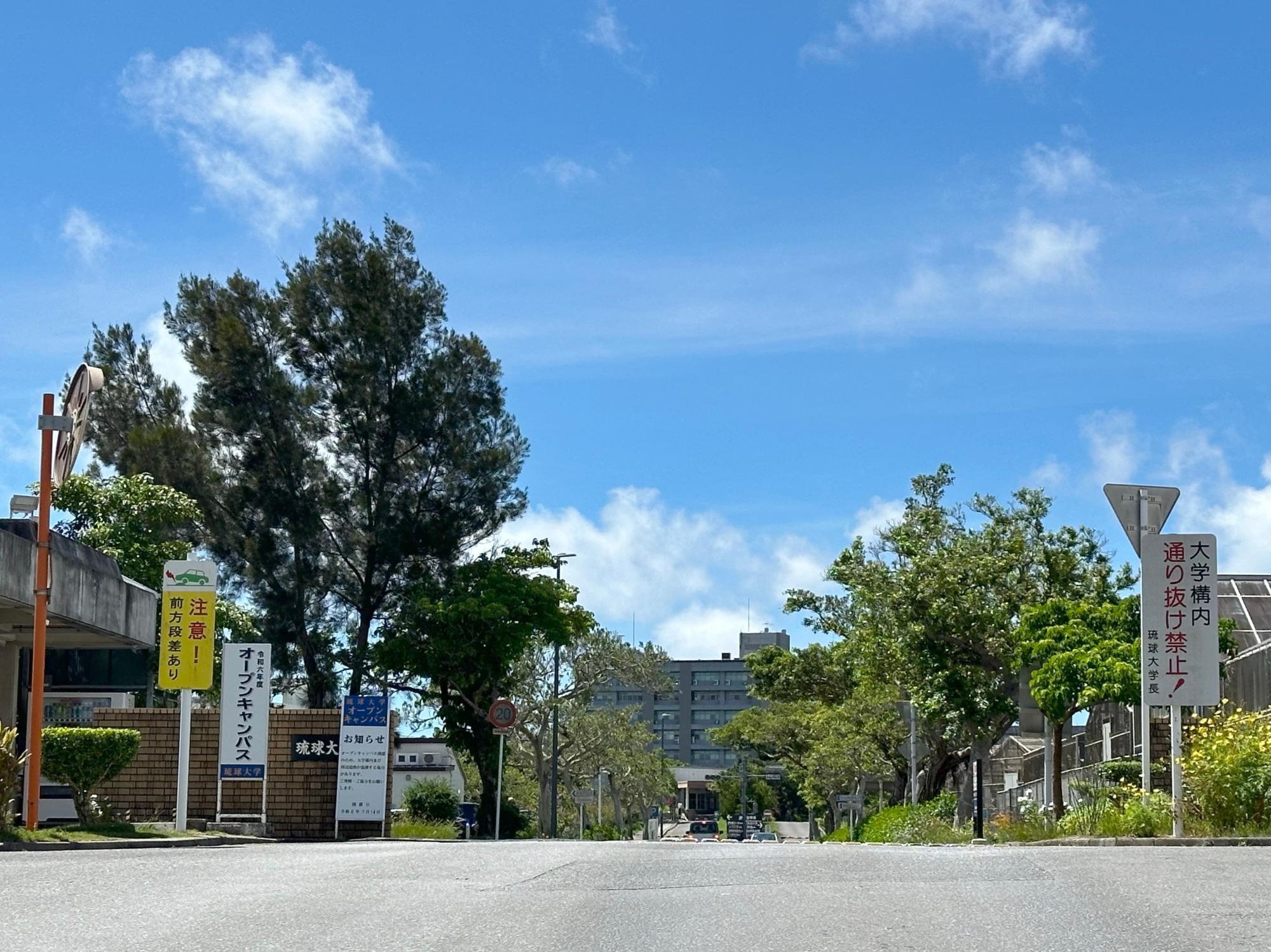 琉球大学 mqdefault.jpg