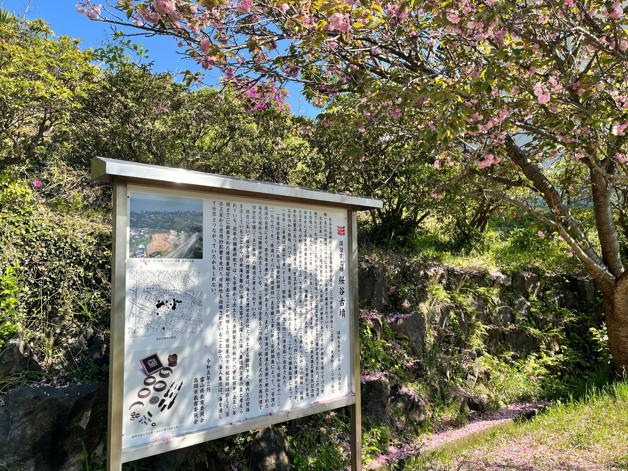 八重桜の名所でもあった様です