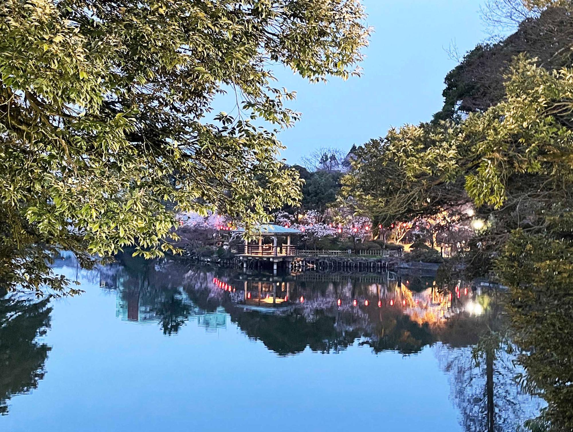 高岡古城公園池之端　桜のシーズン