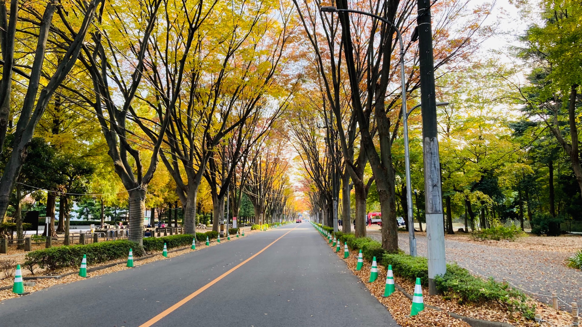 朝霞市】※開催順延が確定※ 朝霞市内と周辺の人気飲食店が集結の