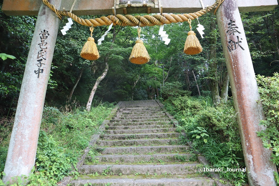 （春日神社の鳥居の先には、階段がずっと続きます）