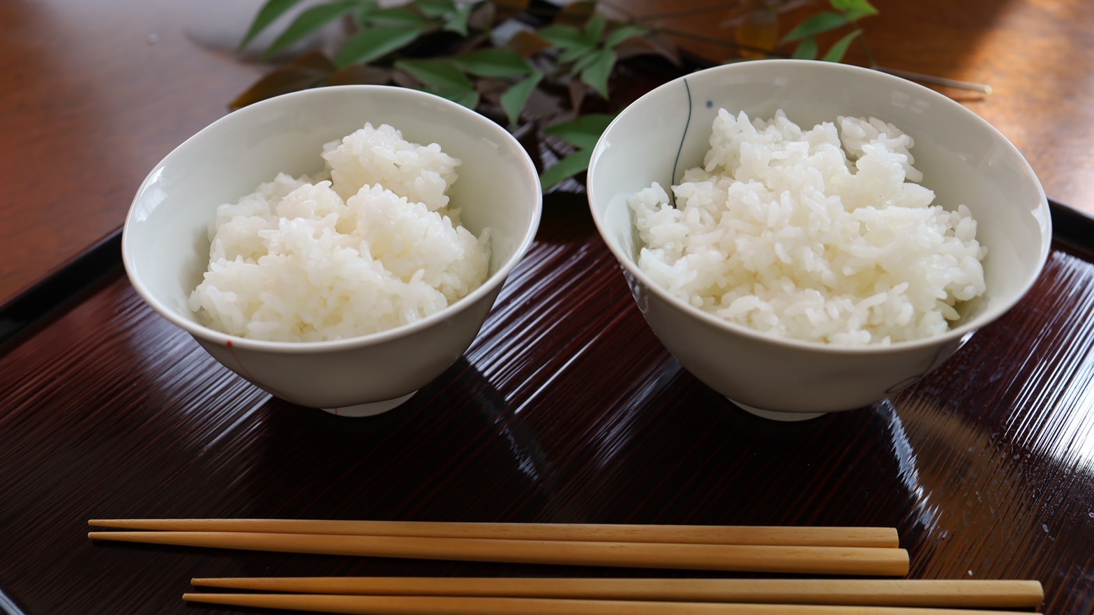 ダイエット中でも食べてほしいご飯(米飯)の量 太る量と痩せる量の矛盾