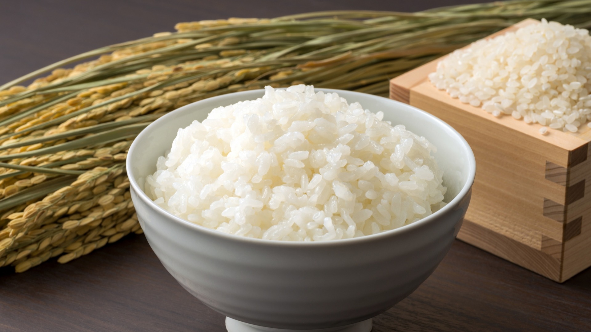 【新米】ご飯を食べると太る？本当？それとも思い込み？