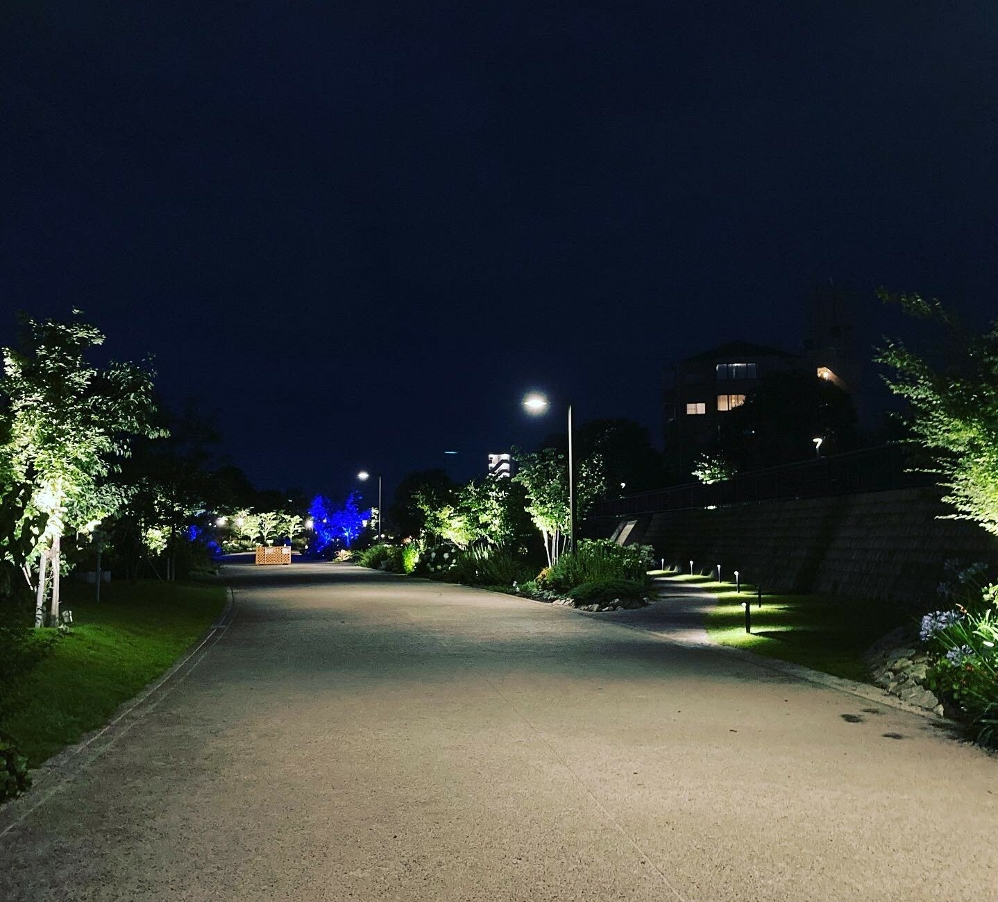 ※画像は、夜の「草津川跡地公園de愛ひろば」の様子。