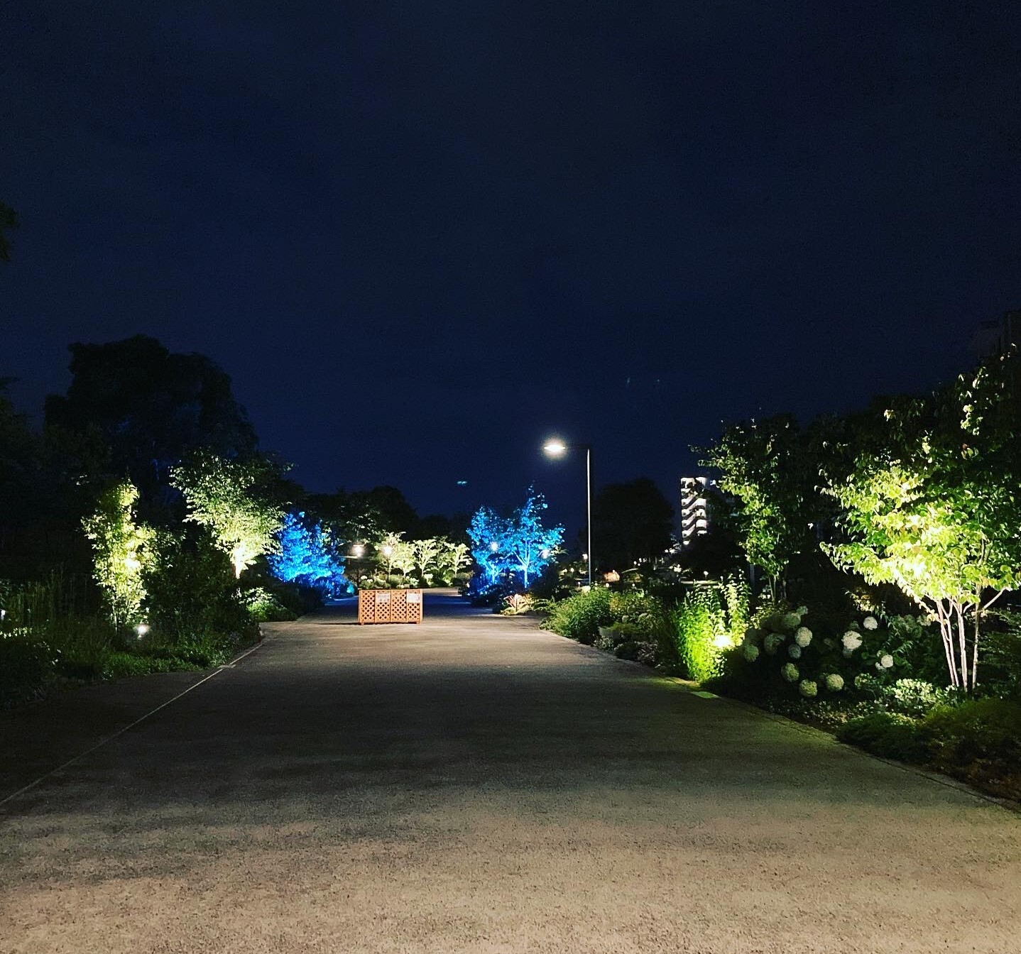 ※画像は、夜の「草津川跡地公園de愛ひろば」の様子。