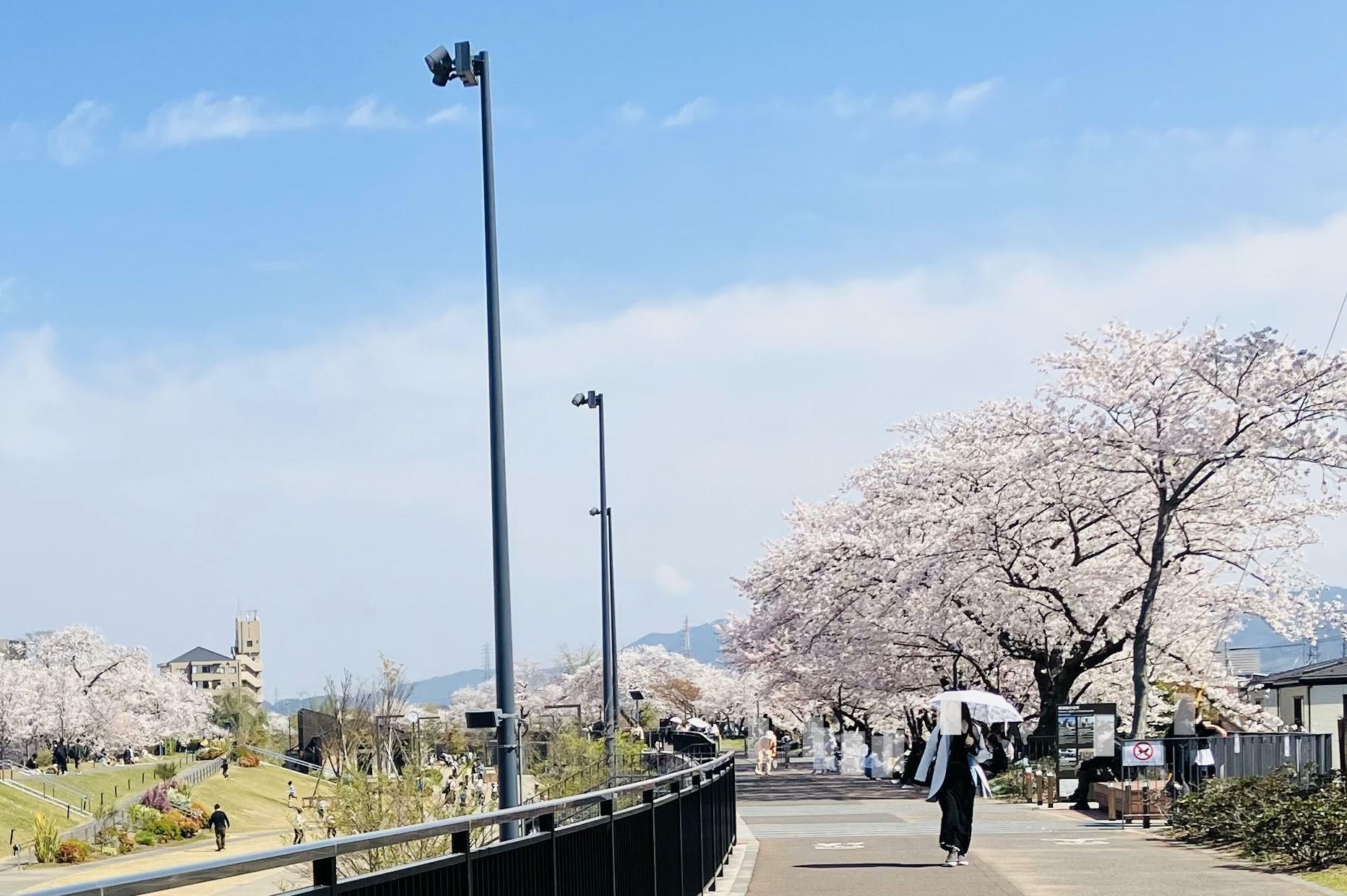 ※画像は、昨年2023年3月末に撮影した「草川跡地公園de愛ひろば」の様子。