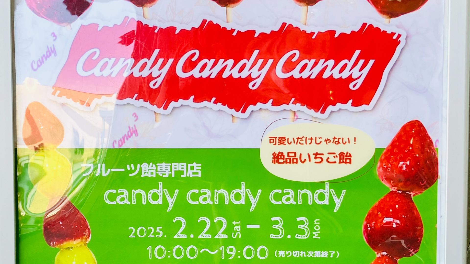 【草津市】2/22～3/3、エイスクエアに「Candy Candy Candy」期間限定SHOP登場（いちご大福） - エキスパート ...