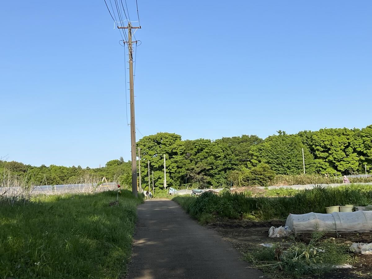 キャンプ場のある山へ続く農道