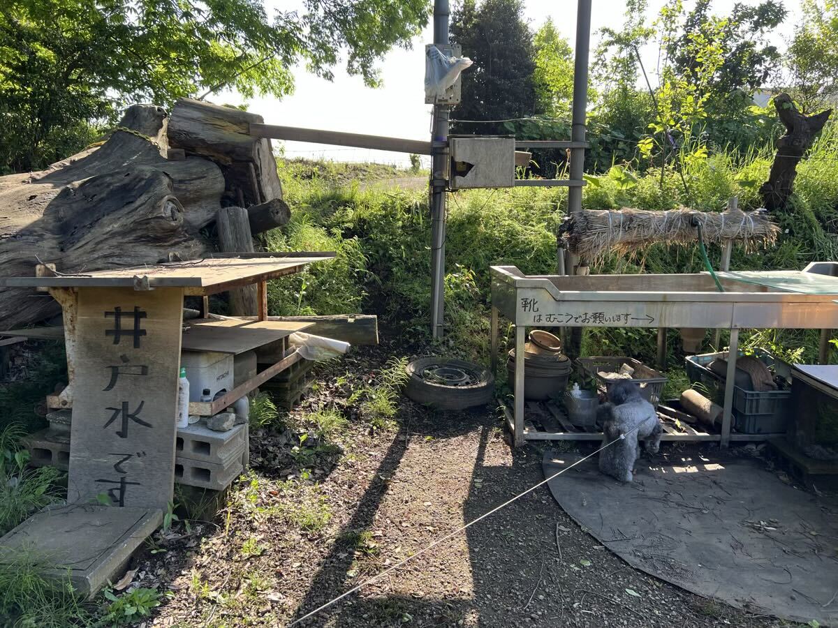 井戸水・水道水の利用も