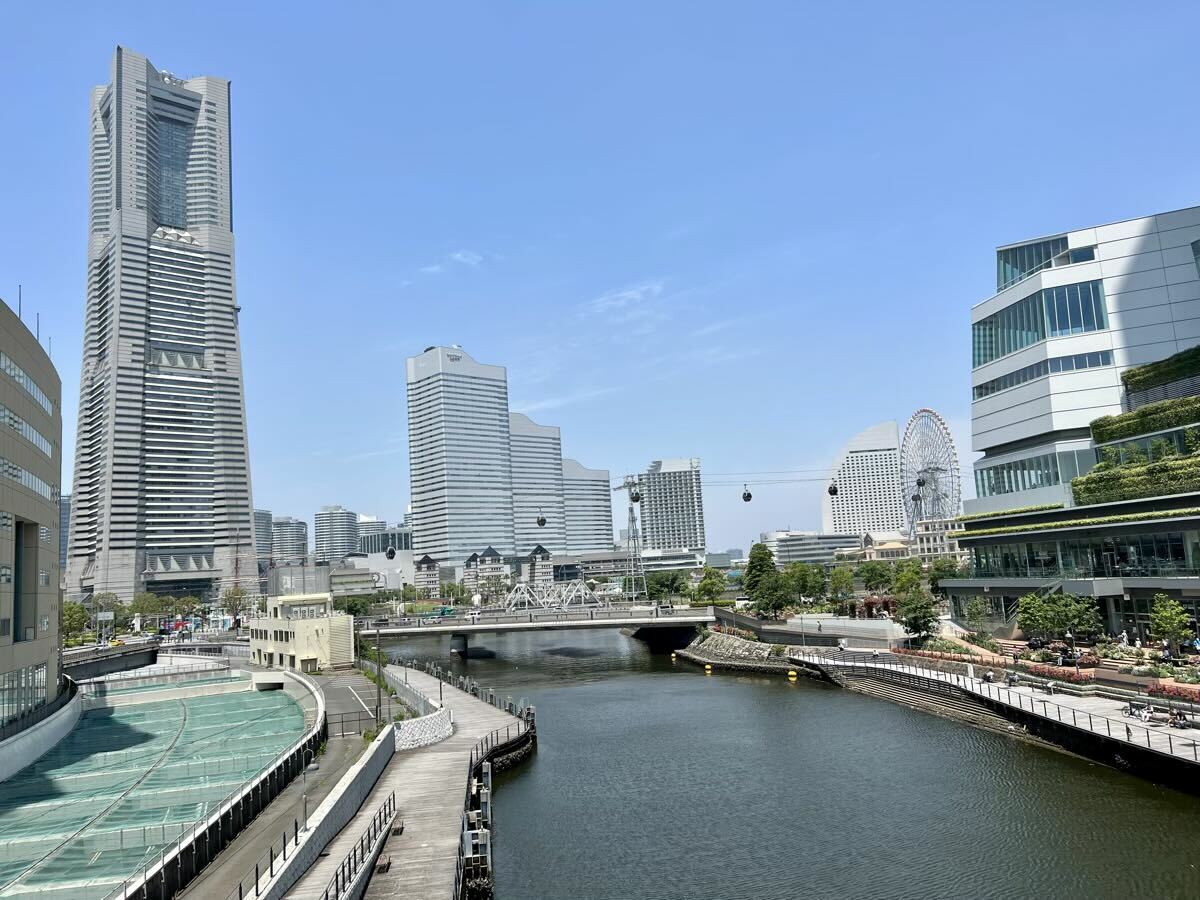 横浜の景色を一望できます