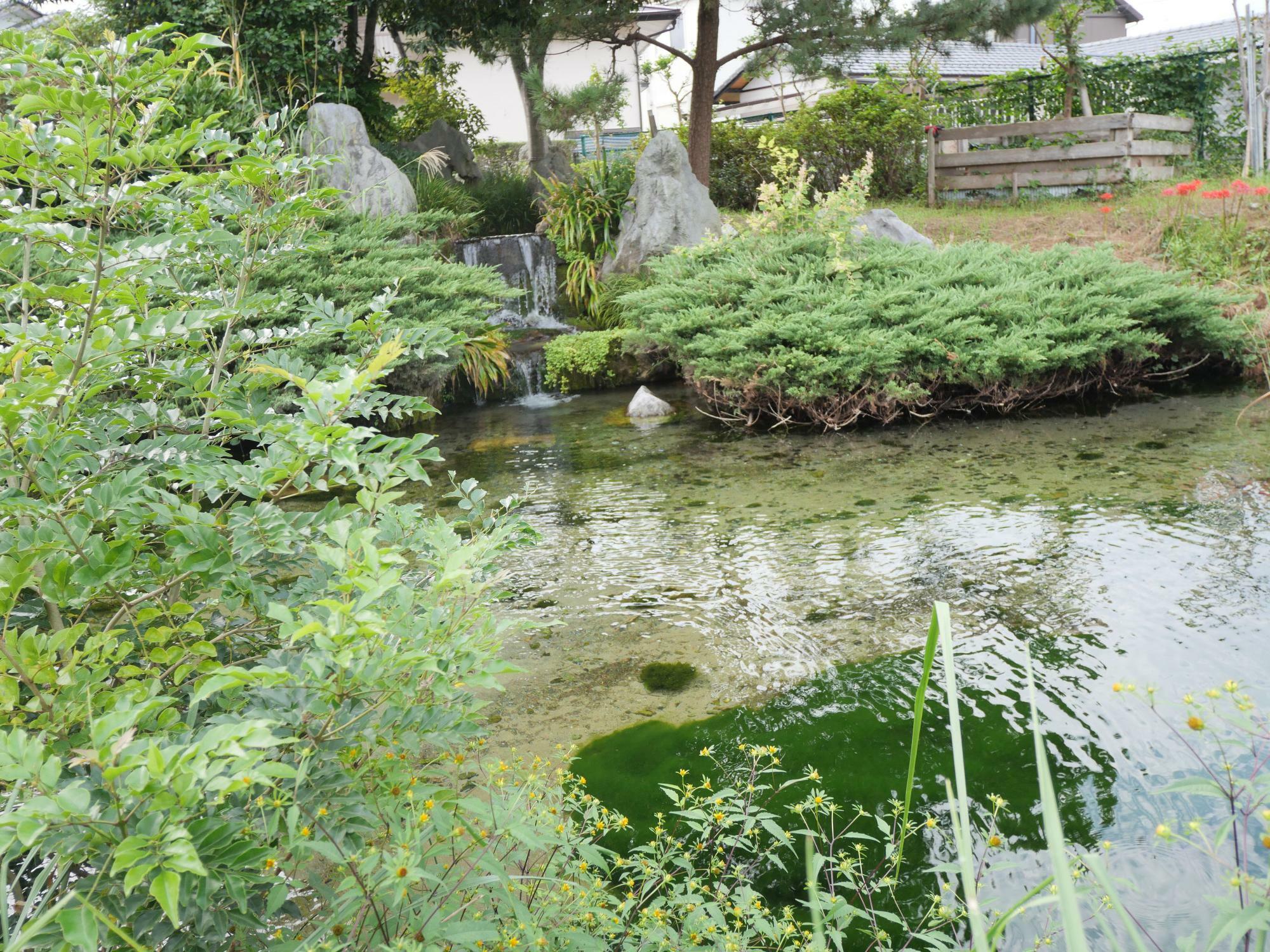 神社向かいの泉が森公園