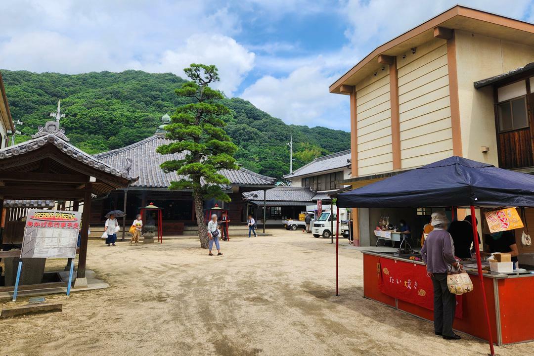 パワースポットとも呼ばれる松の木