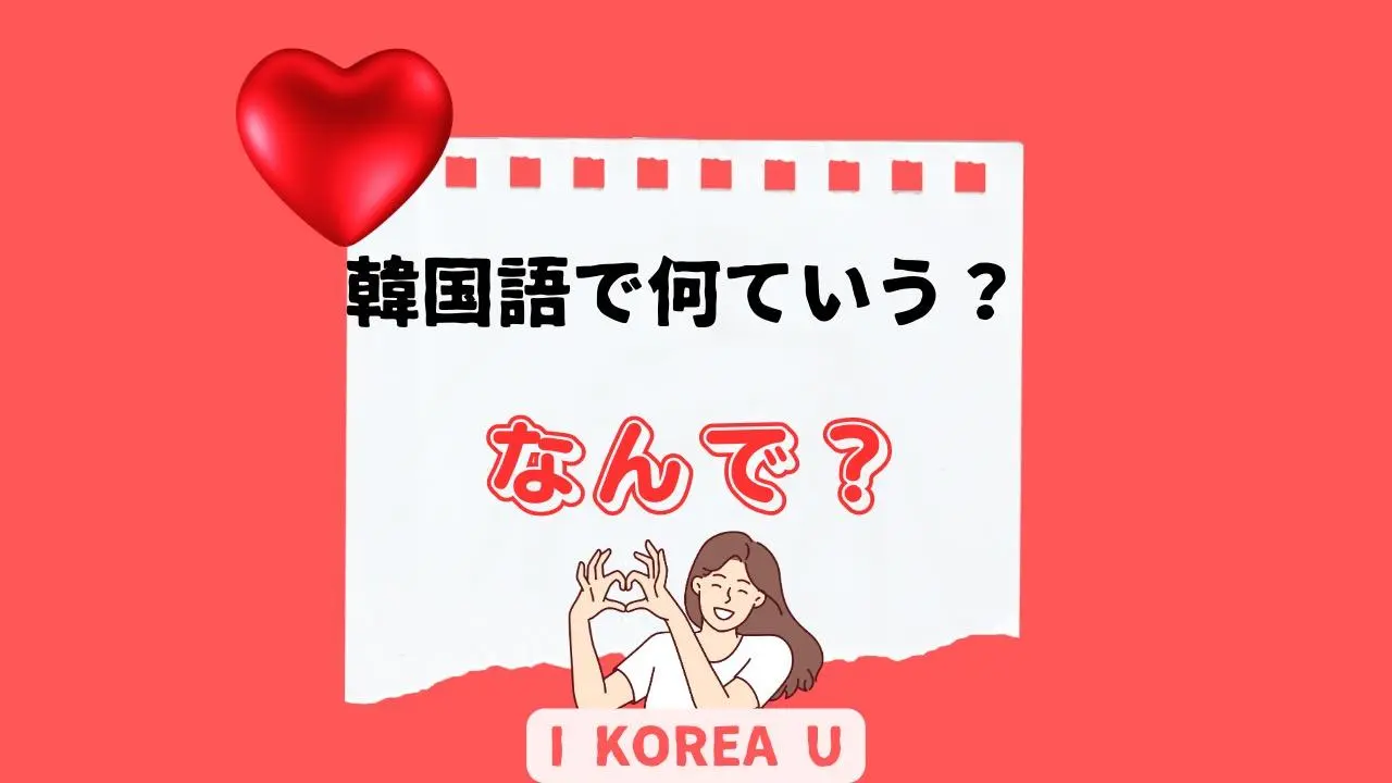 たった1分韓国語】「なんで？」って韓国語で何？（I Korea U あいこ 